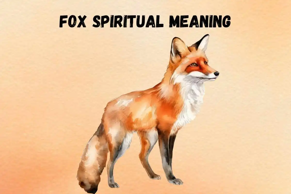 fox-spiritual-meaning-symbolism-totem-tattoo