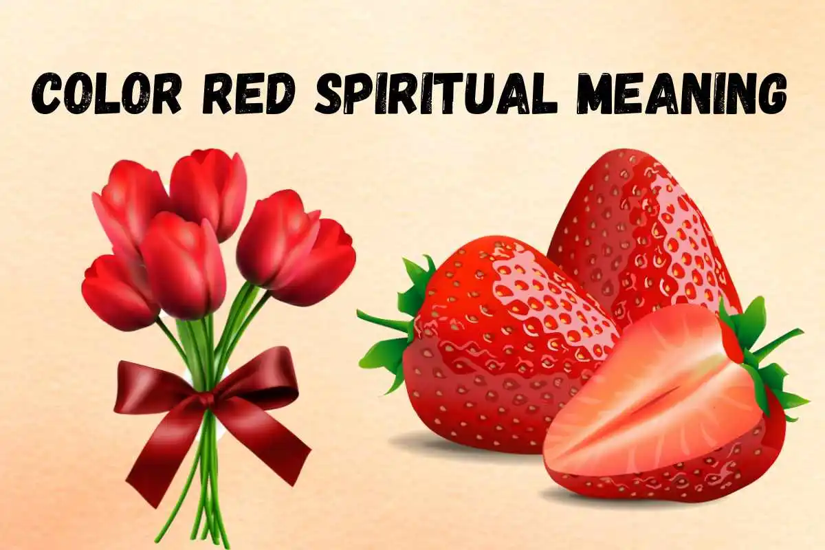 spiritual-meaning-of-color-red-symbolism-psychology