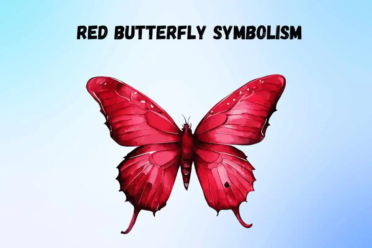 red-butterfly-spiritual-meaning-symbolism-and-significance