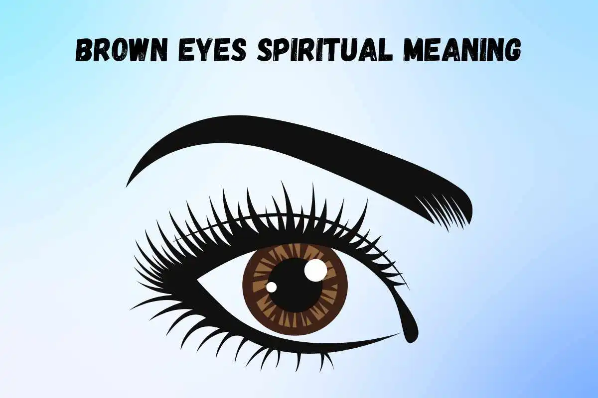 what-is-the-spiritual-meaning-of-brown-eyes