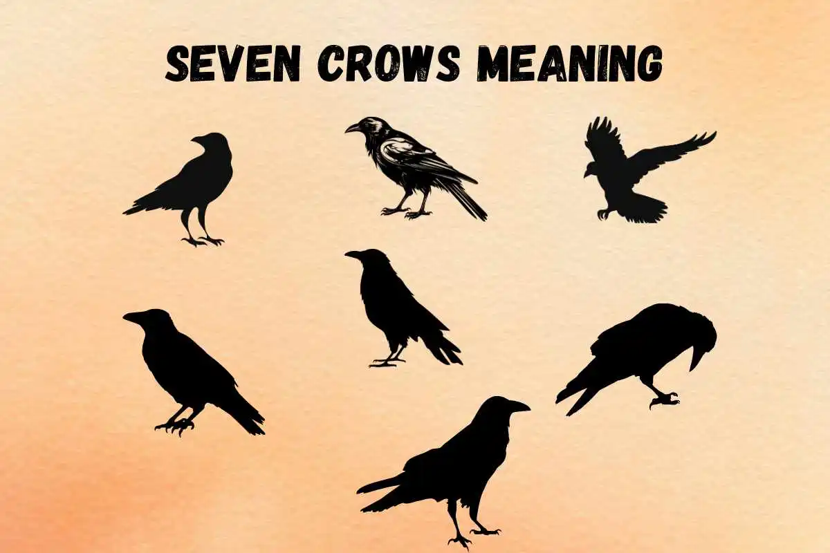 7-crows-meaning-spiritual-and-symbolism