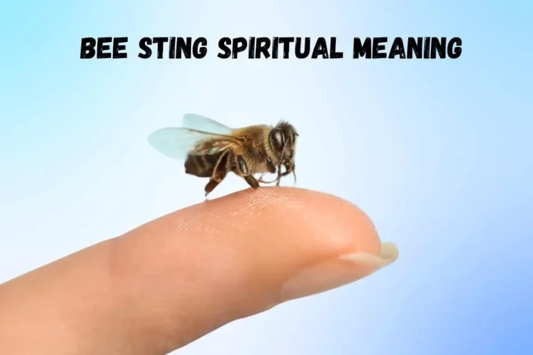 bee-sting-spiritual-meaning-and-symbolism