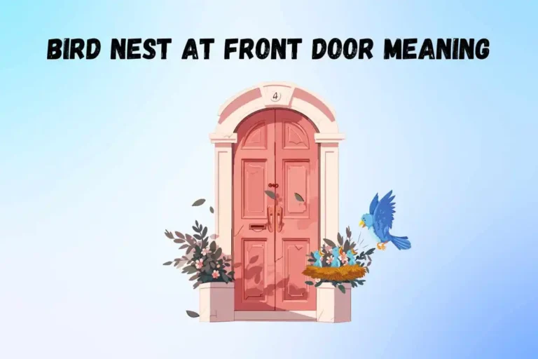 bird-nest-at-front-door-spiritual-meaning-and-symbolism