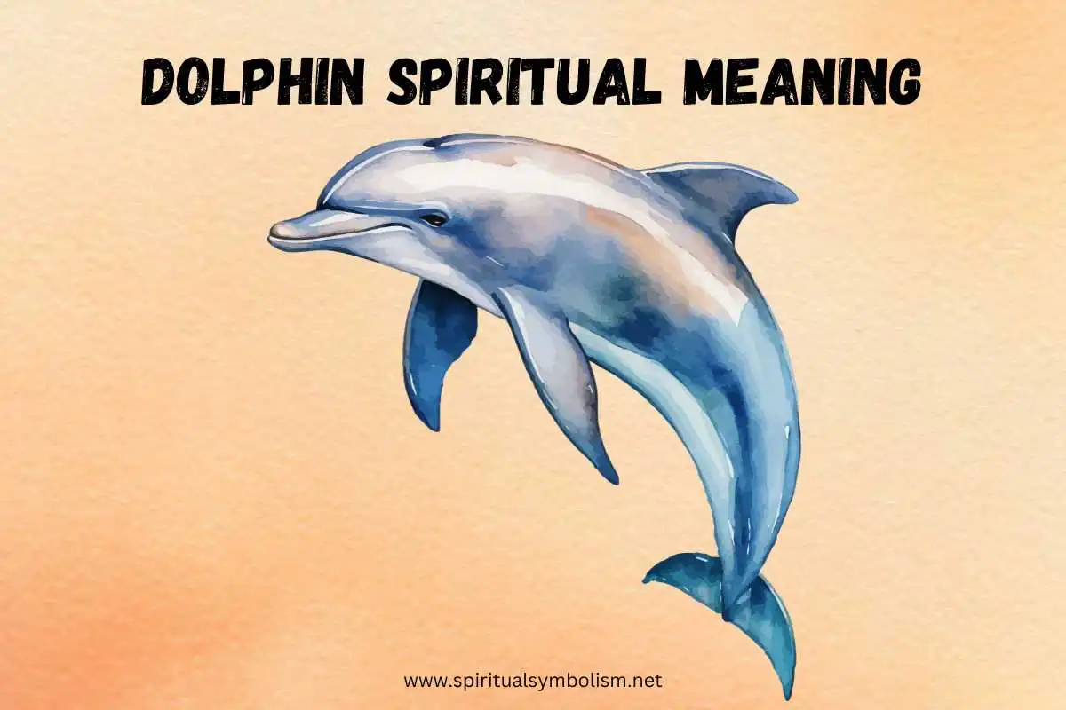 dolphin-spiritual-meaning