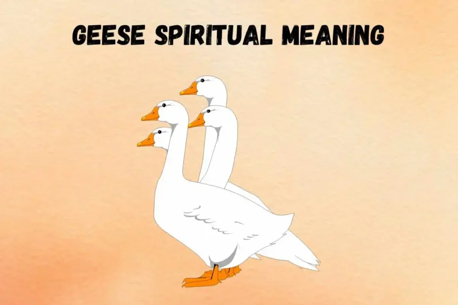 geese-spiritual-meaning-symbolism