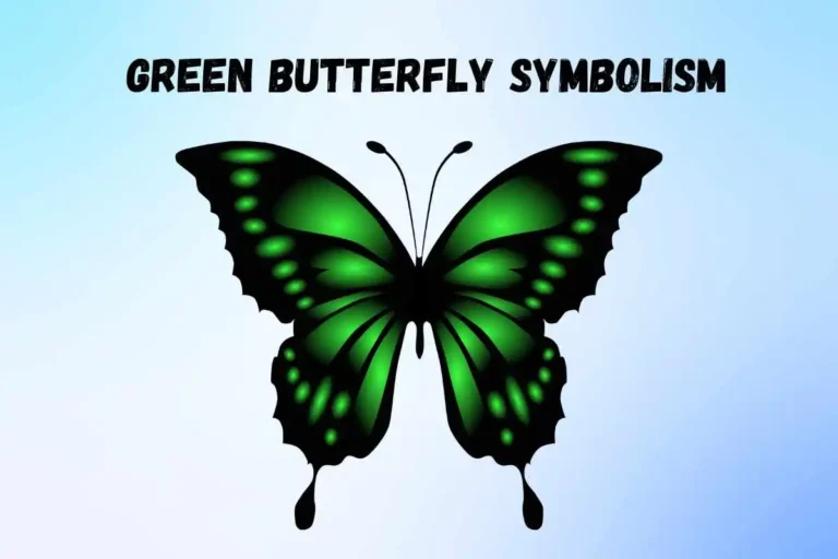 green-butterfly-spiritual-meaning-and-symbolism