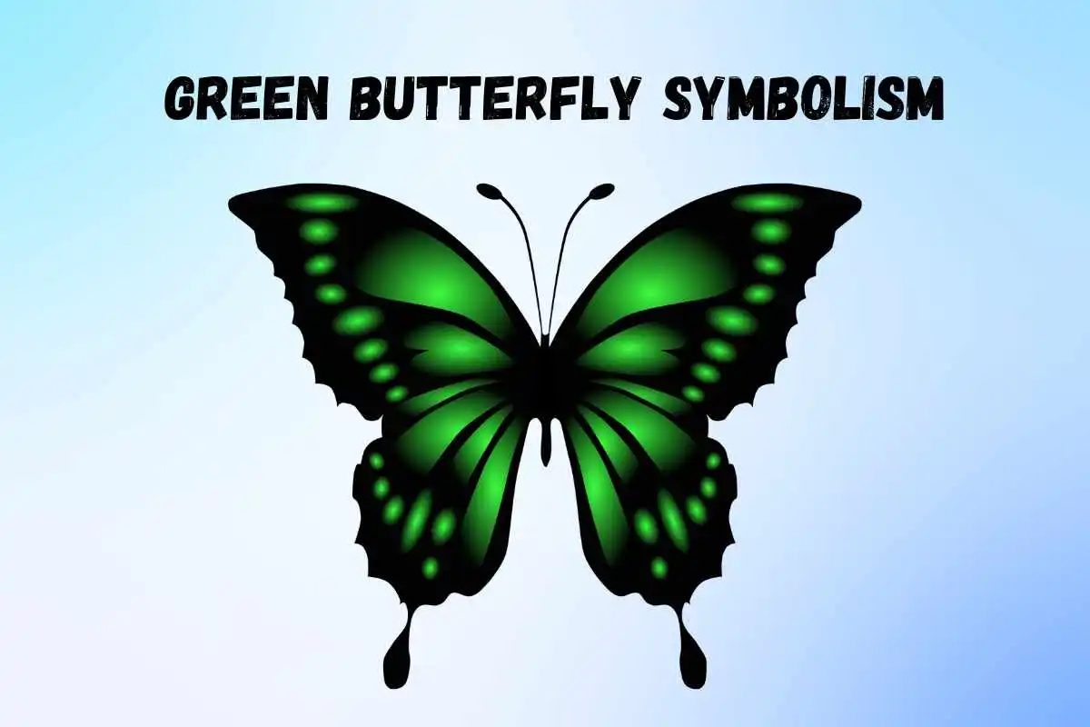 green-butterfly-spiritual-meaning-and-symbolism