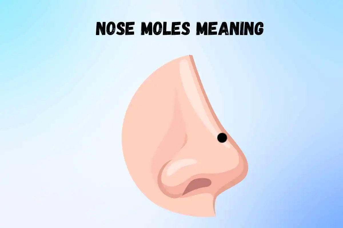 moles-on-the-nose-meanings-for-females-and-males