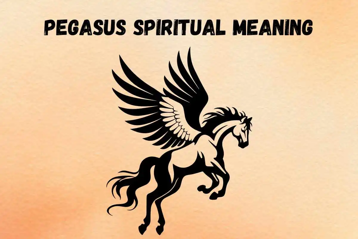 pegasus-spiritual-meaning-symbolism-mythology