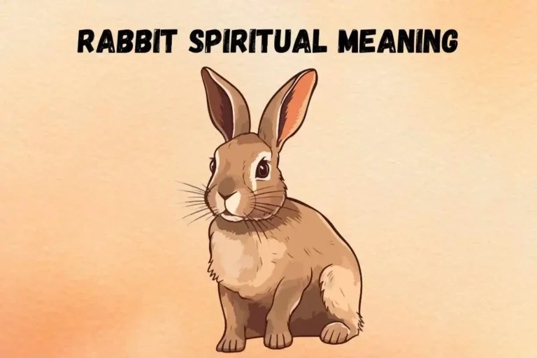 rabbit-spiritual-meaning-symbolism-and-totem