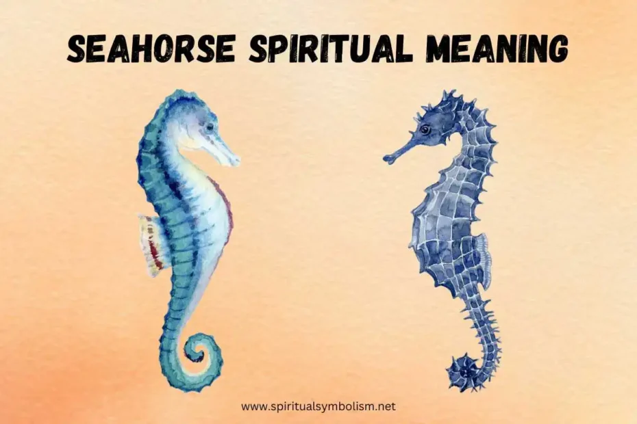 seahorse-spiritual-meaning