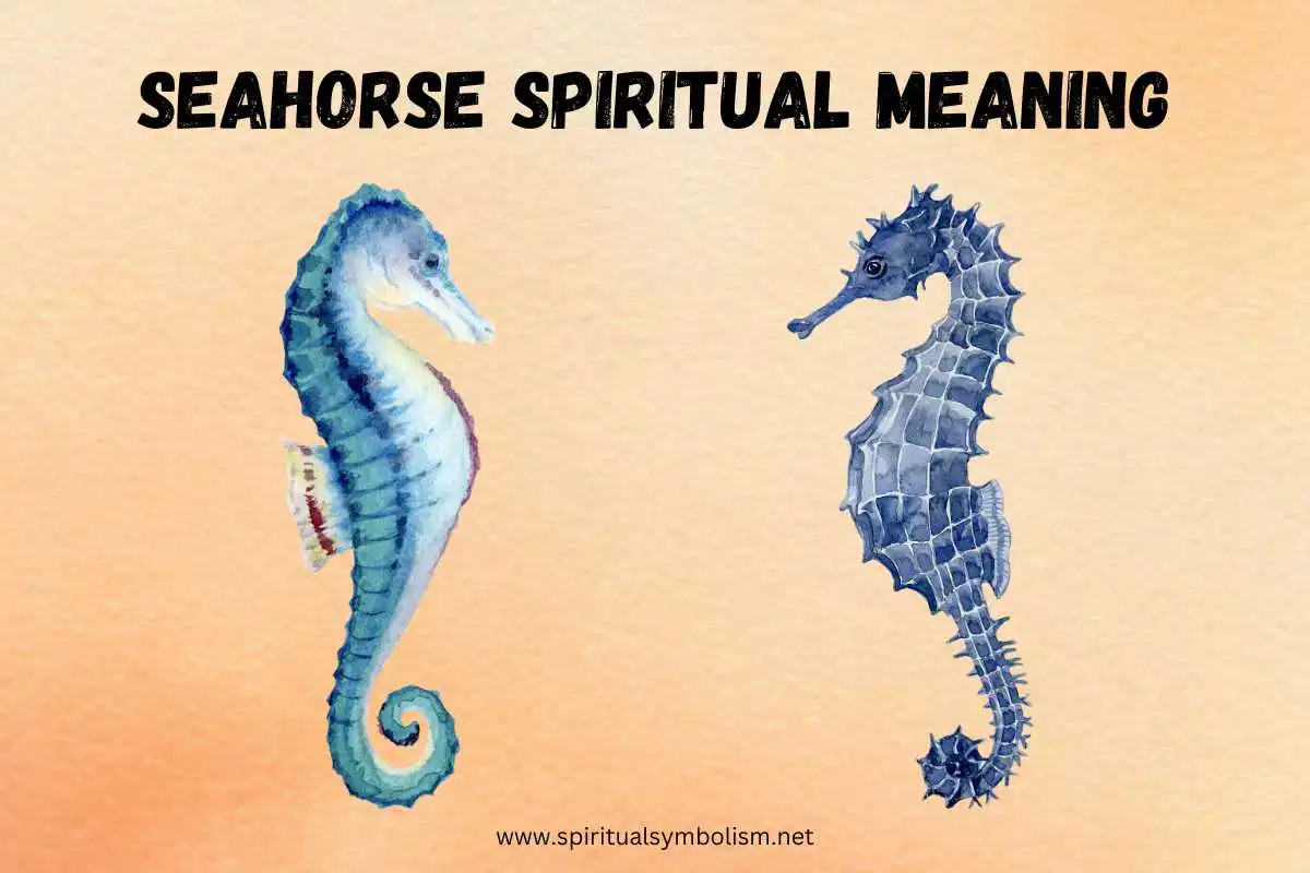 seahorse-spiritual-meaning