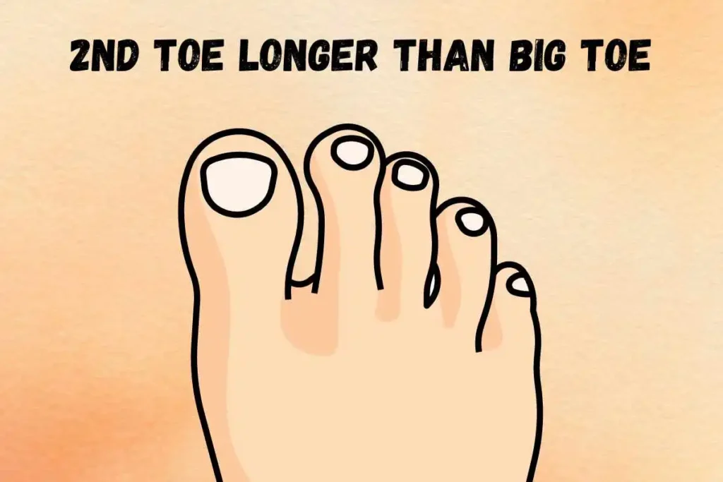 second-toe-longer-than-big-toe-meaning-personality-superstition