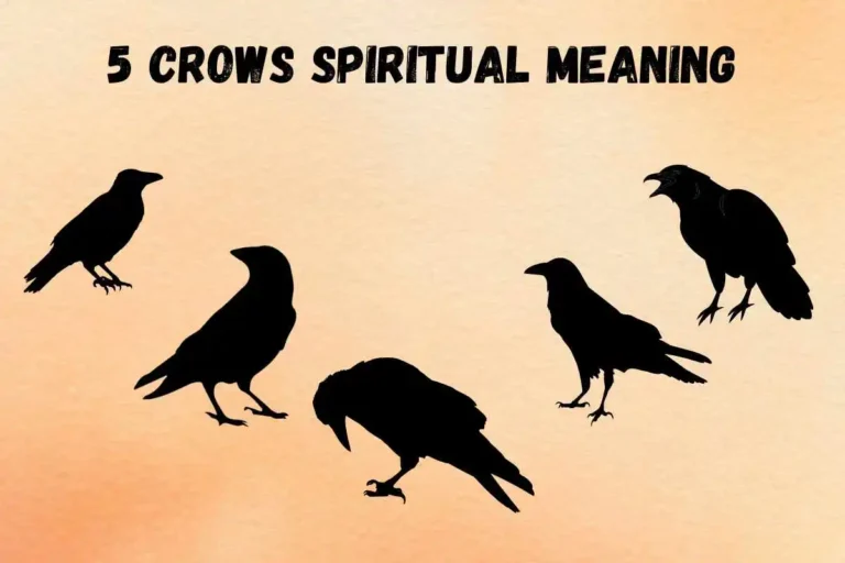 seeing-5-crows-spiritual-meaning-and-symbolism