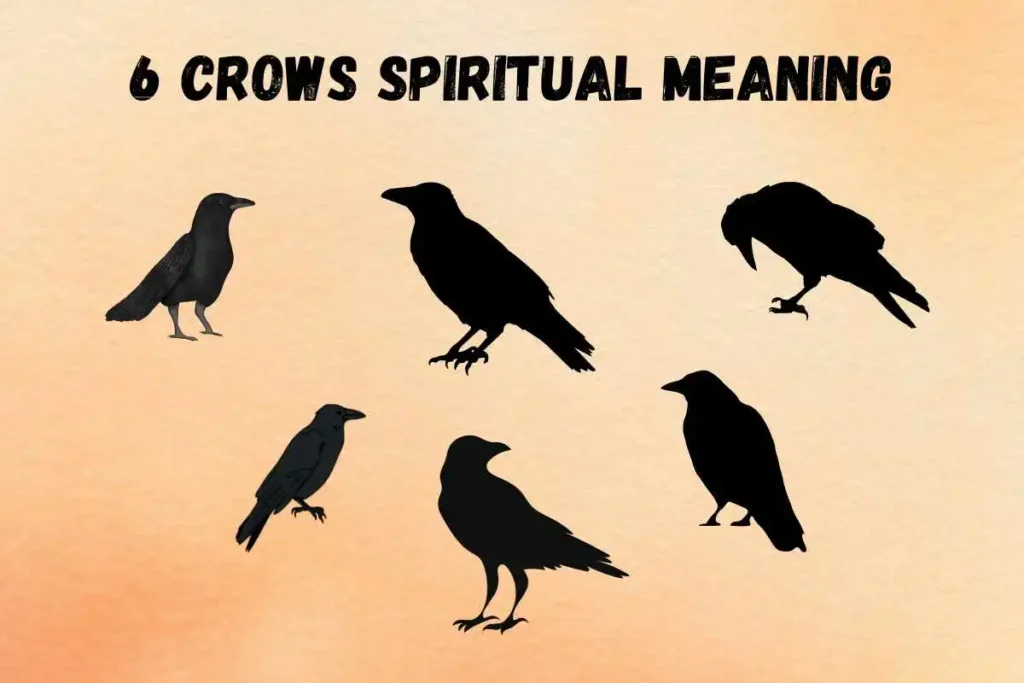 seeing-6-crows-spiritual-meaning-symbolism