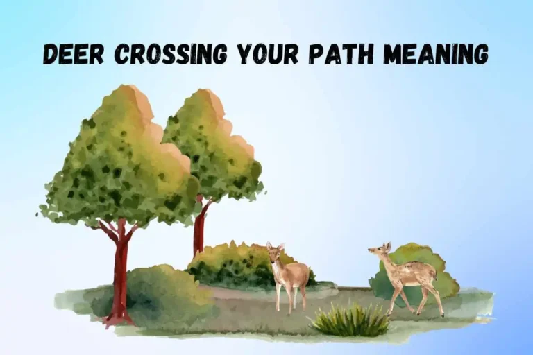 seeing-a-deer-crossing-your-path-spiritual-meaning