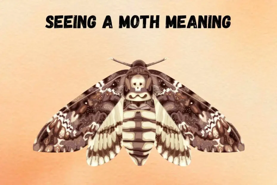 seeing-a-moth-spiritual-meaning-and-symbolism