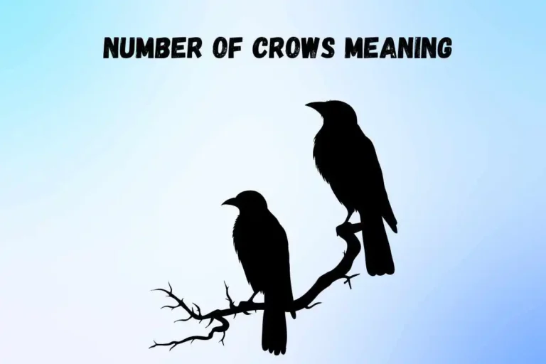 seeing-a-number-of-crows-meaning-spiritual