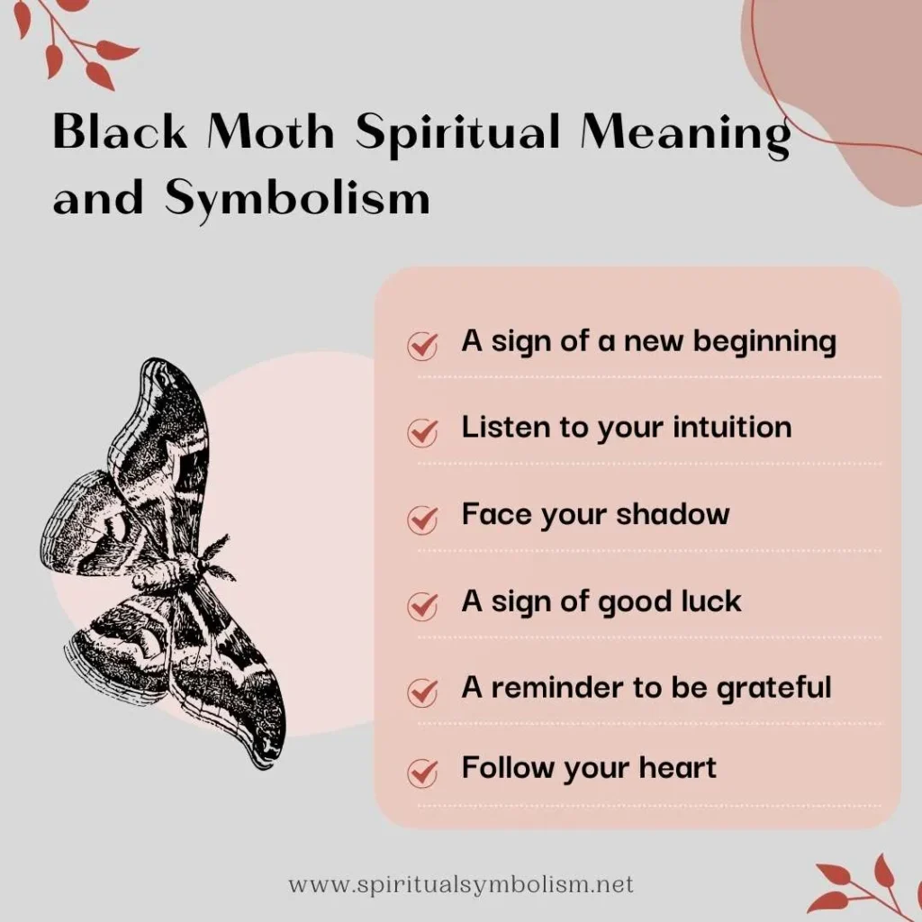 spiritual-meaning-of-black-moth-and-its-symbolism