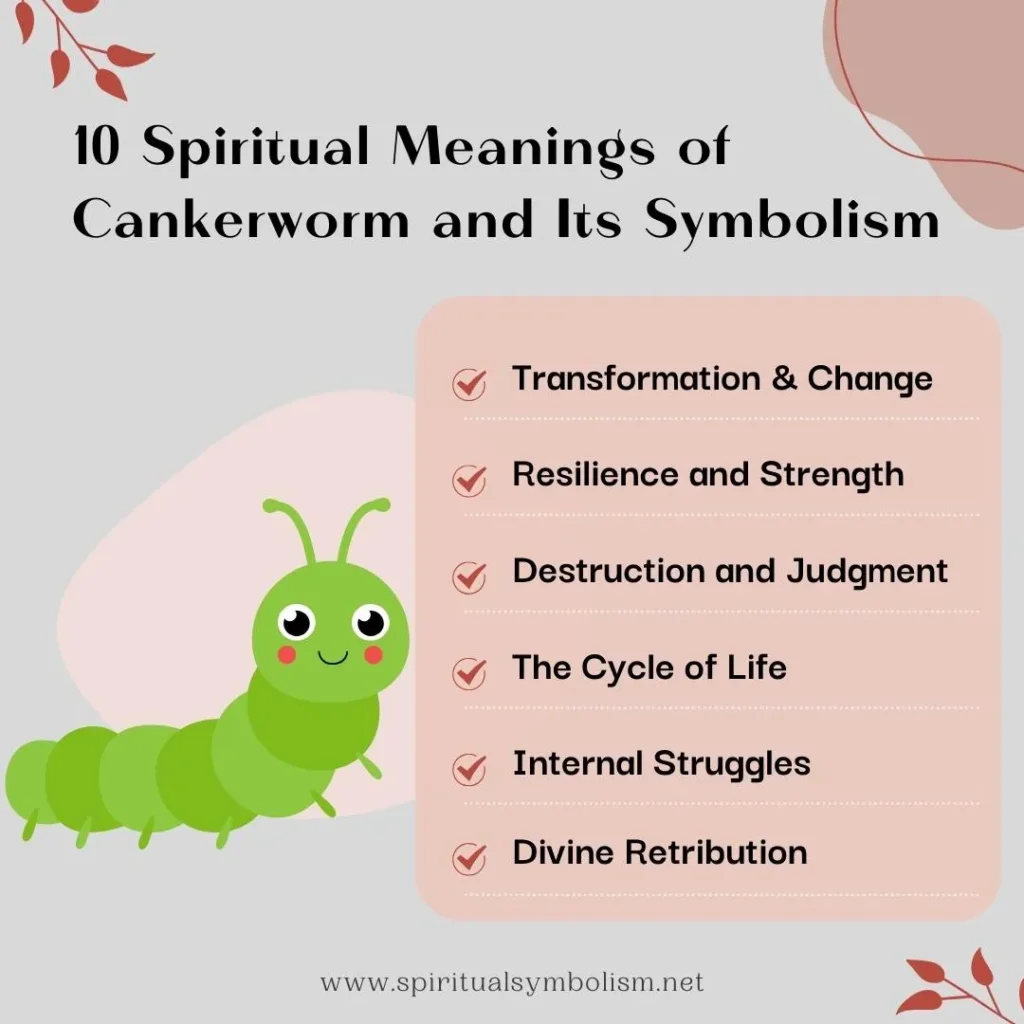 spiritual-meaning-of-cankerworm-and-its-symbolism