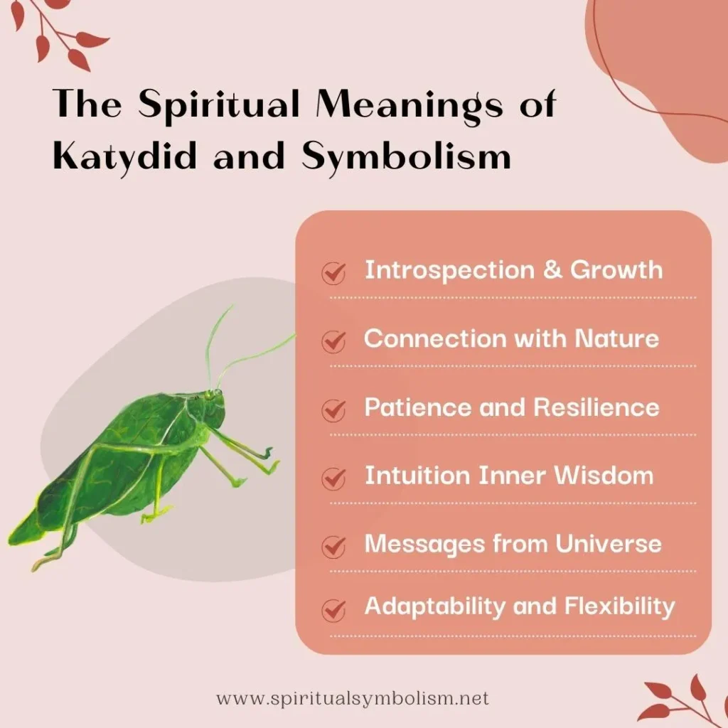 spiritual-meaning-of katydid-and-symbolism