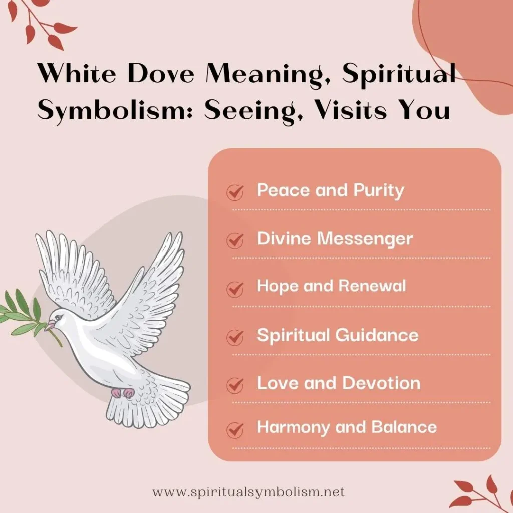 spiritual-meaning-of-white-dove-and-its-symbolism