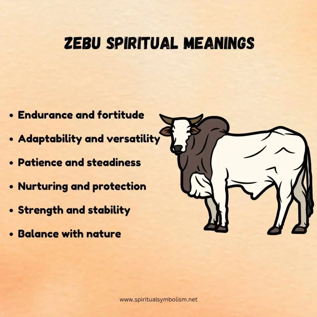 spiritual-meaning-of-zebu