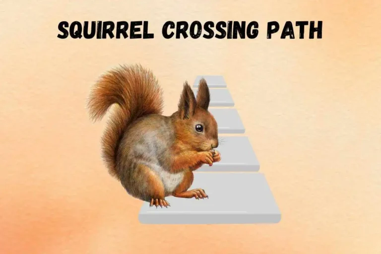 squirrel-crossing-your-path-spiritual-meaning