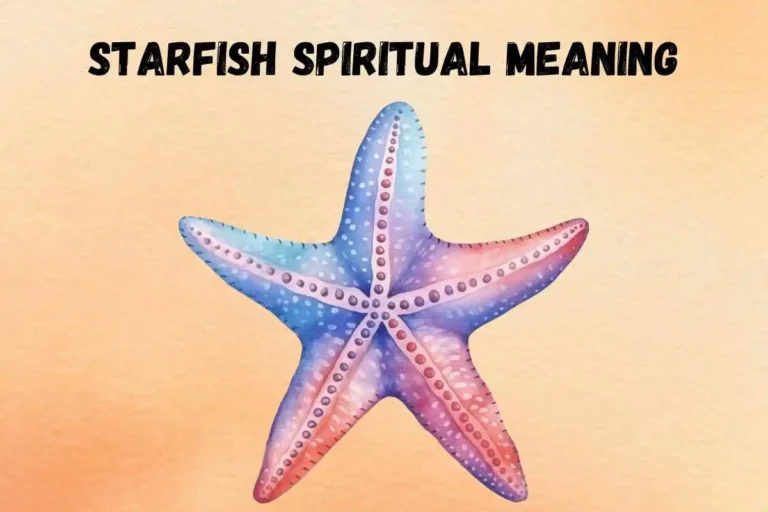 starfish-spiritual-meaning-symbolism-totem