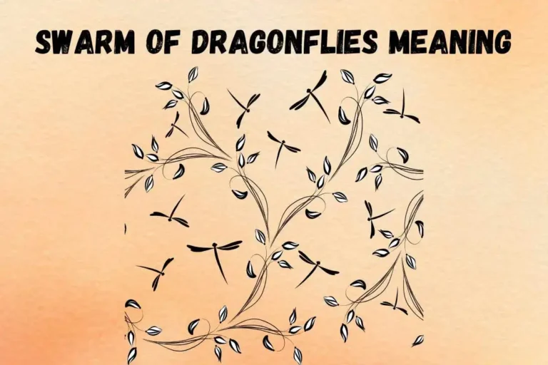 swarm-of-dragonflies-spiritual-meaning-symbolism