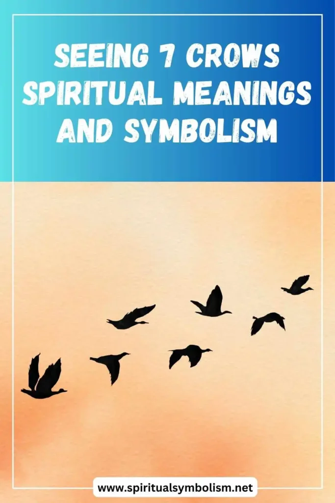 what-is-the-spiritual-meaning-of-7-crows