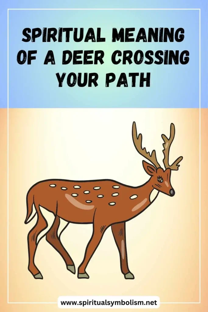 what-is-the-spiritual-meaning-of-a-deer-crossing-your-path