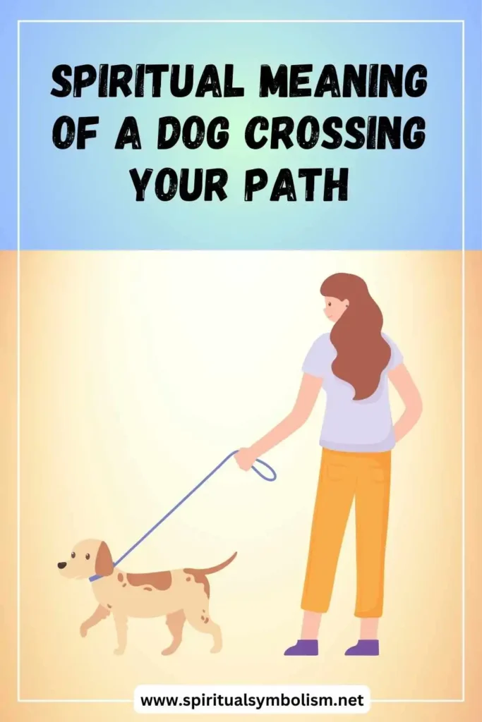 what-is-the-spiritual-meaning-of-a-dog-crossing-your-path