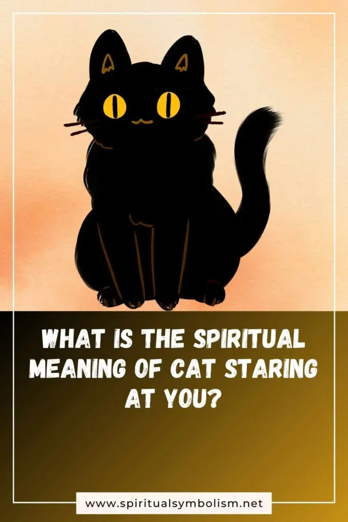 what-is-the-spiritual-meaning-of-cat-staring-at-you