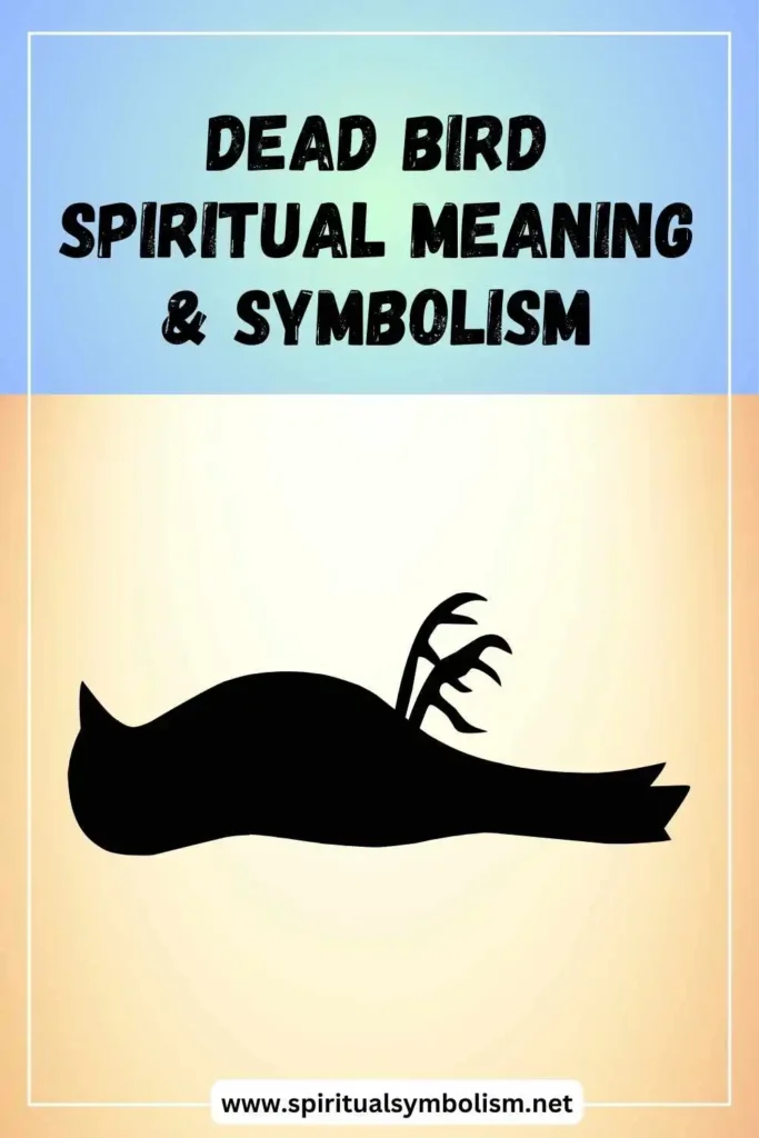 what-is-the-spiritual-meaning-of-dead-bird-symbolism