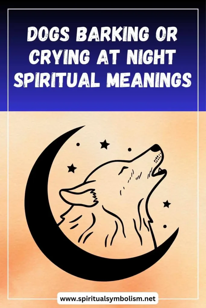 what-is-the-spiritual-meaning-of-dogs-barking-or-crying-at-night