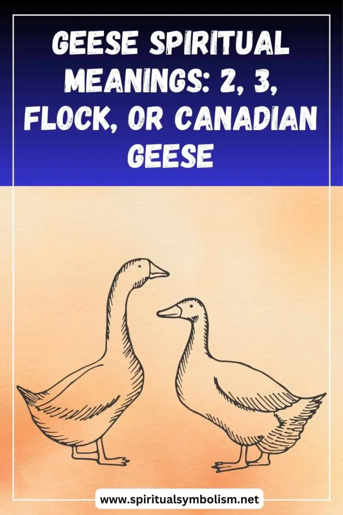 what-is-the-spiritual-meaning-of-geese-1-2-3-flock-or-canadian