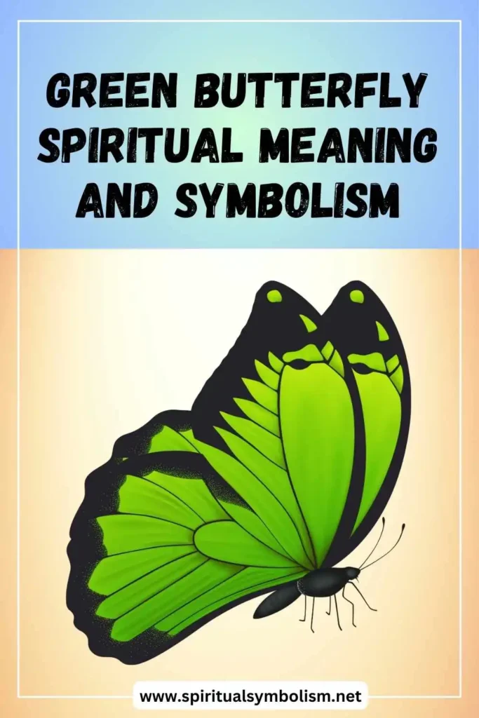 what-is-the-spiritual-meaning-of-green-butterfly