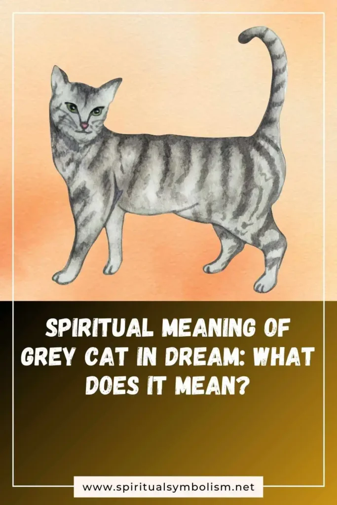 what-is-the-spiritual-meaning-of-grey-cat-in-dream