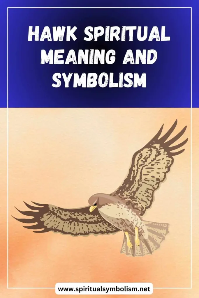 what-is-the-spiritual-meaning-of-hawk