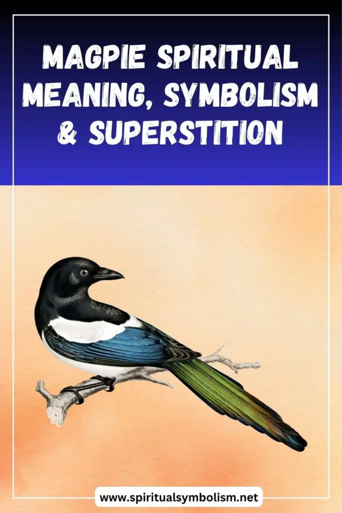 what-is-the-spiritual-meaning-of-magpie