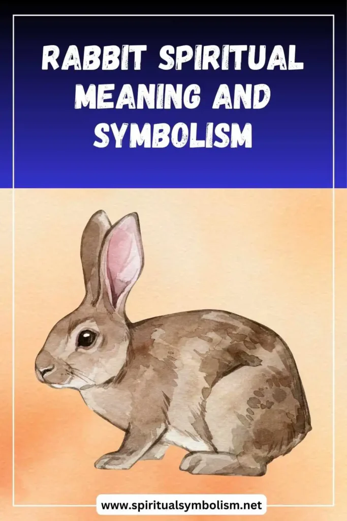 what-is-the-spiritual-meaning-of-rabbit