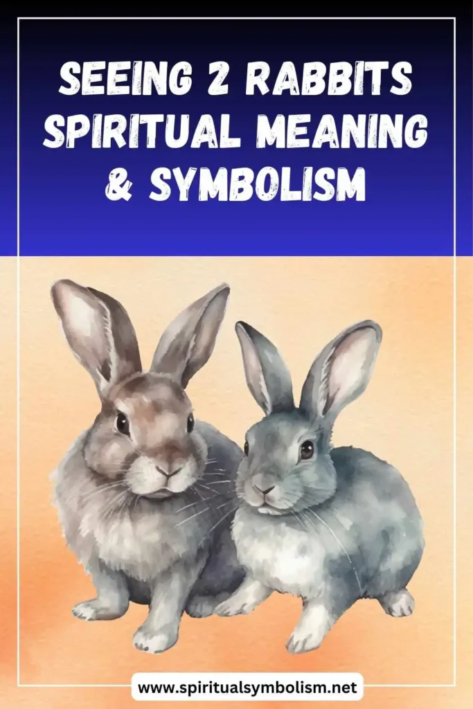 what-is-the-spiritual-meaning-of-seeing-2-rabbits