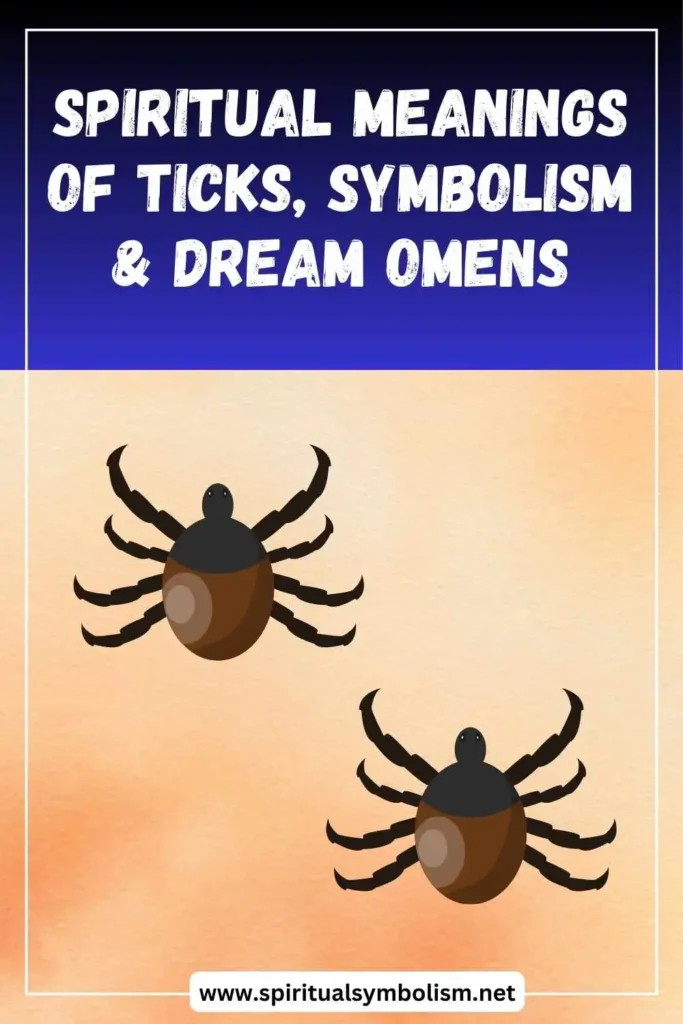 what-is-the-spiritual-meaning-of-ticks-symbolism-and-dream-meanings