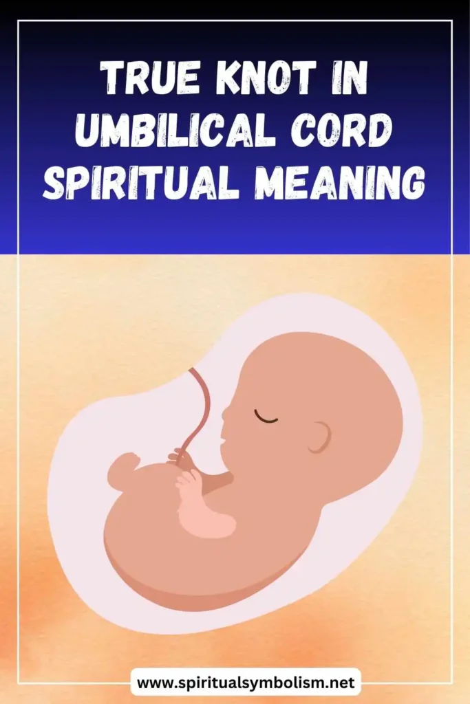 what-is-the-spiritual-meaning-of-true-knot-in-umbilical-cord