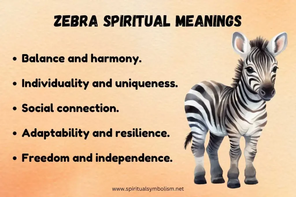 zebra-meaning-spiritual