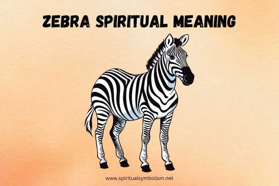 zebra-spiritual-meaning