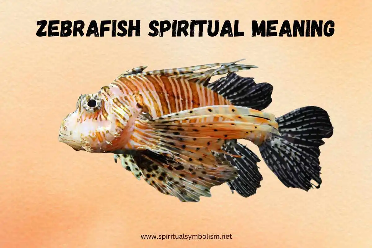 zebrafish-spiritual-meaning-symbolism-totem